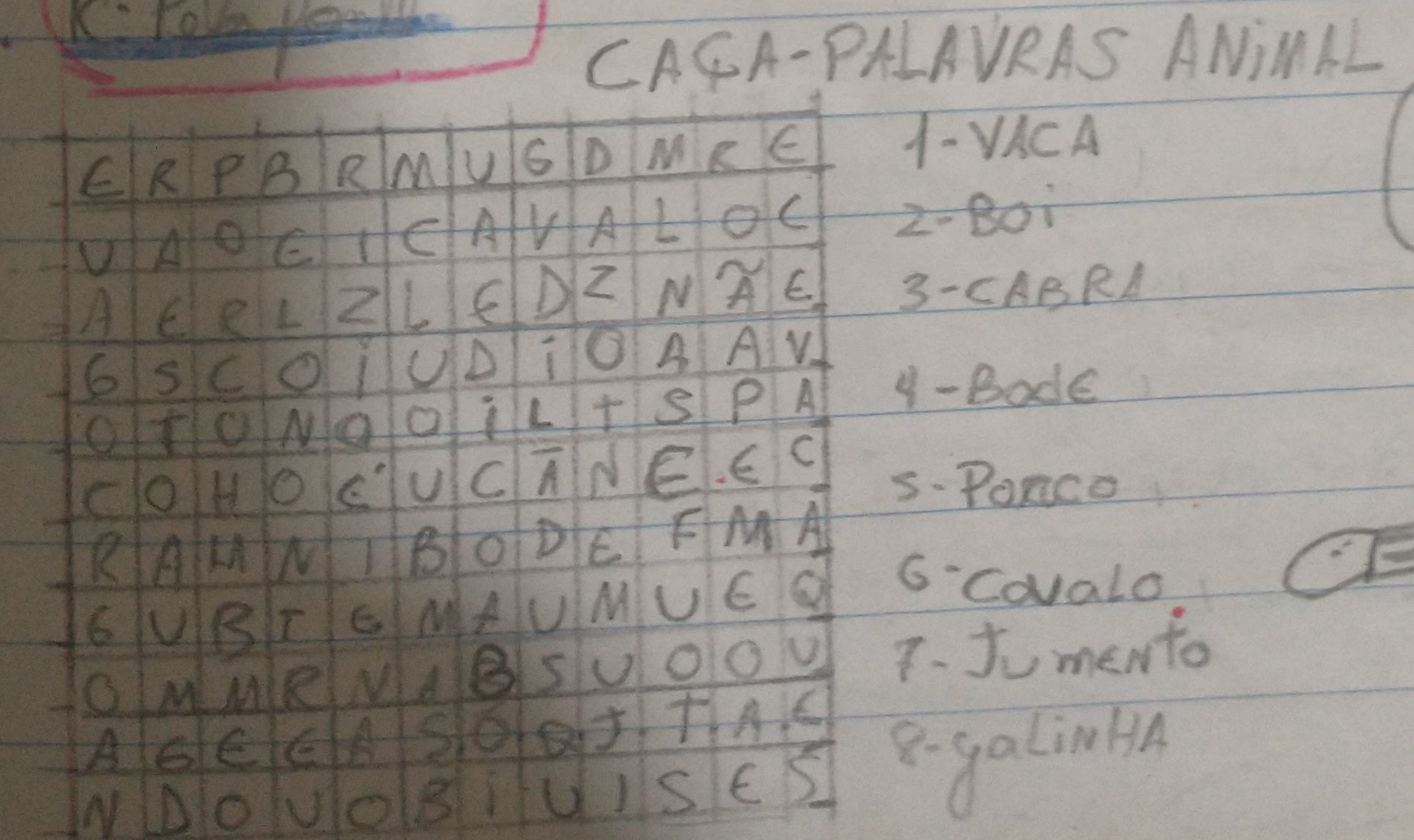 Foto do caça-palavras da segunda edição, que tinha como tema animais. Dentro de um grid de 12 colunas e 12 linhas, você podia encontrar palavras como vaca, boi, cabra, bode, porco, cavalo, jumento e galinha, escritas na vertical, horizontal, diagonal e de trás pra frente